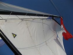 segel macht s&uuml;chtig!!